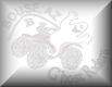 Ghost Riders OHV BLOG